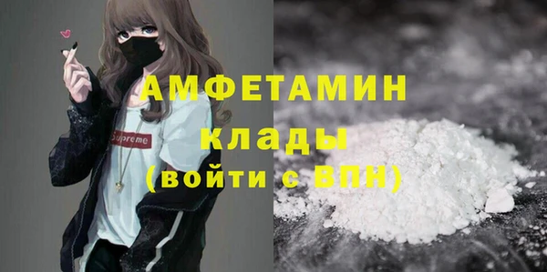 шишки Балахна