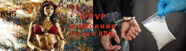 шишки Балахна