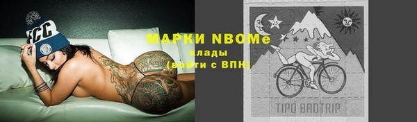 шишки Балахна
