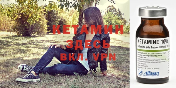 шишки Балахна