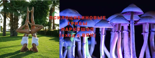 шишки Балахна